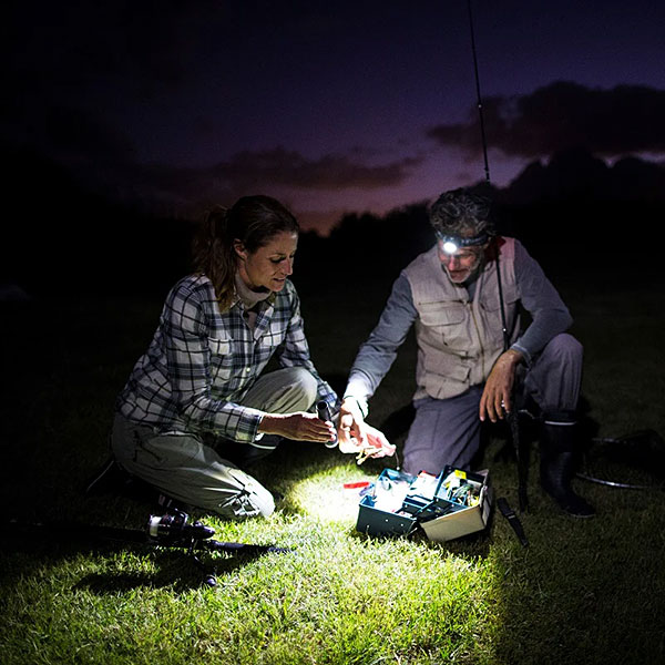 レッドレンザー MH4 ヘッドランプ ヘッドライト 43100