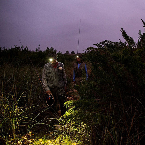 レッドレンザー MH4 ヘッドランプ ヘッドライト 43100