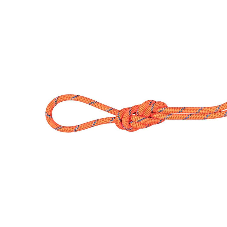 MAMMUT マムート クライミング ロープ  60M 7.5 Alpine Sender Dry Rope 2010-04330-60