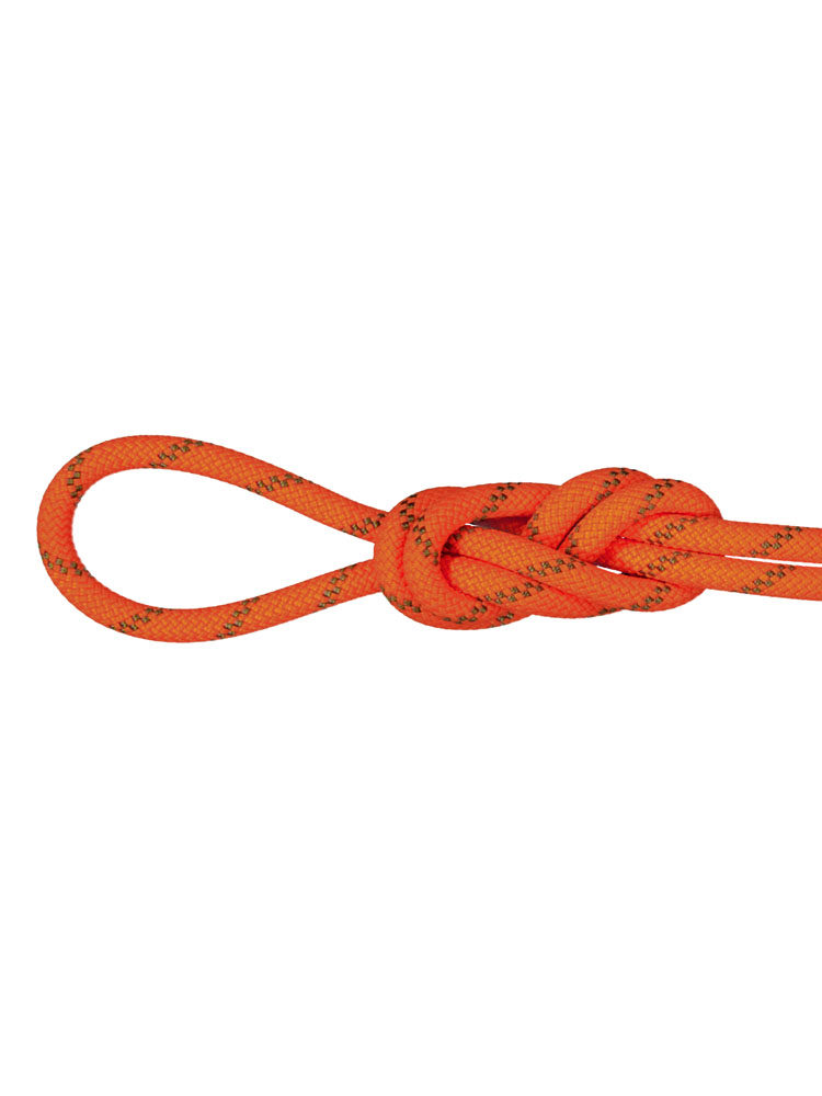 マムート 8.0 Alpine Dry Rope 50m ロープ ザイル 2010-04350-50