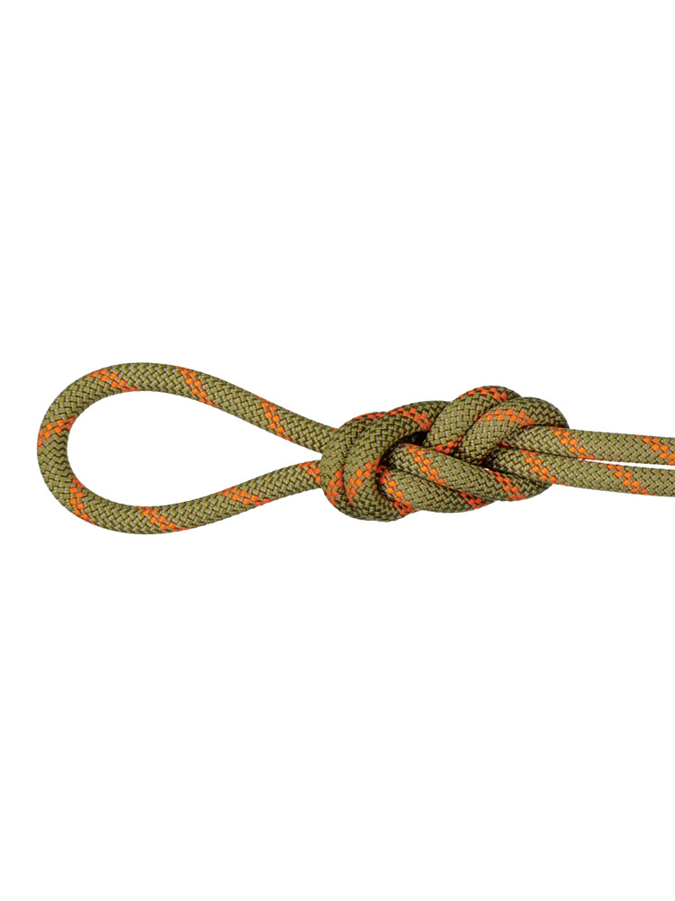 マムート 8.0 Alpine Dry Rope 60m ロープ ザイル 2010-04350-60