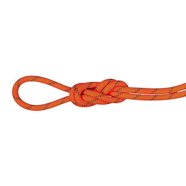 マムート 8.0 Alpine Dry Rope 50m ロープ ザイル 2010-04350-50 : mgj-2010-04350-50 :  ロッジ プレミアムショップ - 通販 - Yahoo!ショッピング