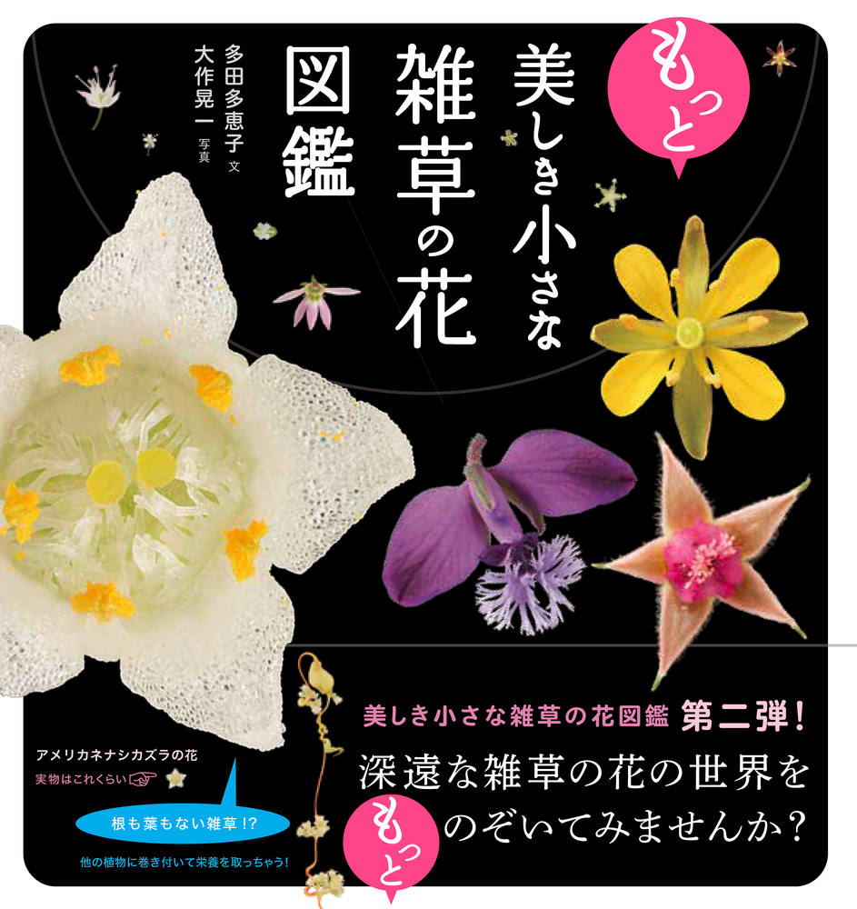 もっと美しき小さな雑草の花図鑑 550190