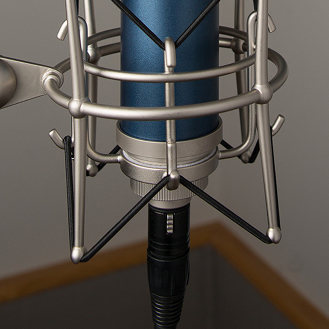 コンデンサーマイク Blue Microphones Bluebird SL XLR ブルー BM1200