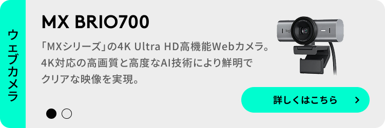 logicool（ロジクール） Webカメラ BRIO 500 C940 フルHD オート