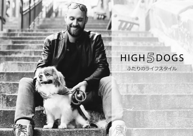 High5dogs H5D Rope Walker Harness ( ロープウォーカーハーネス ) BYG