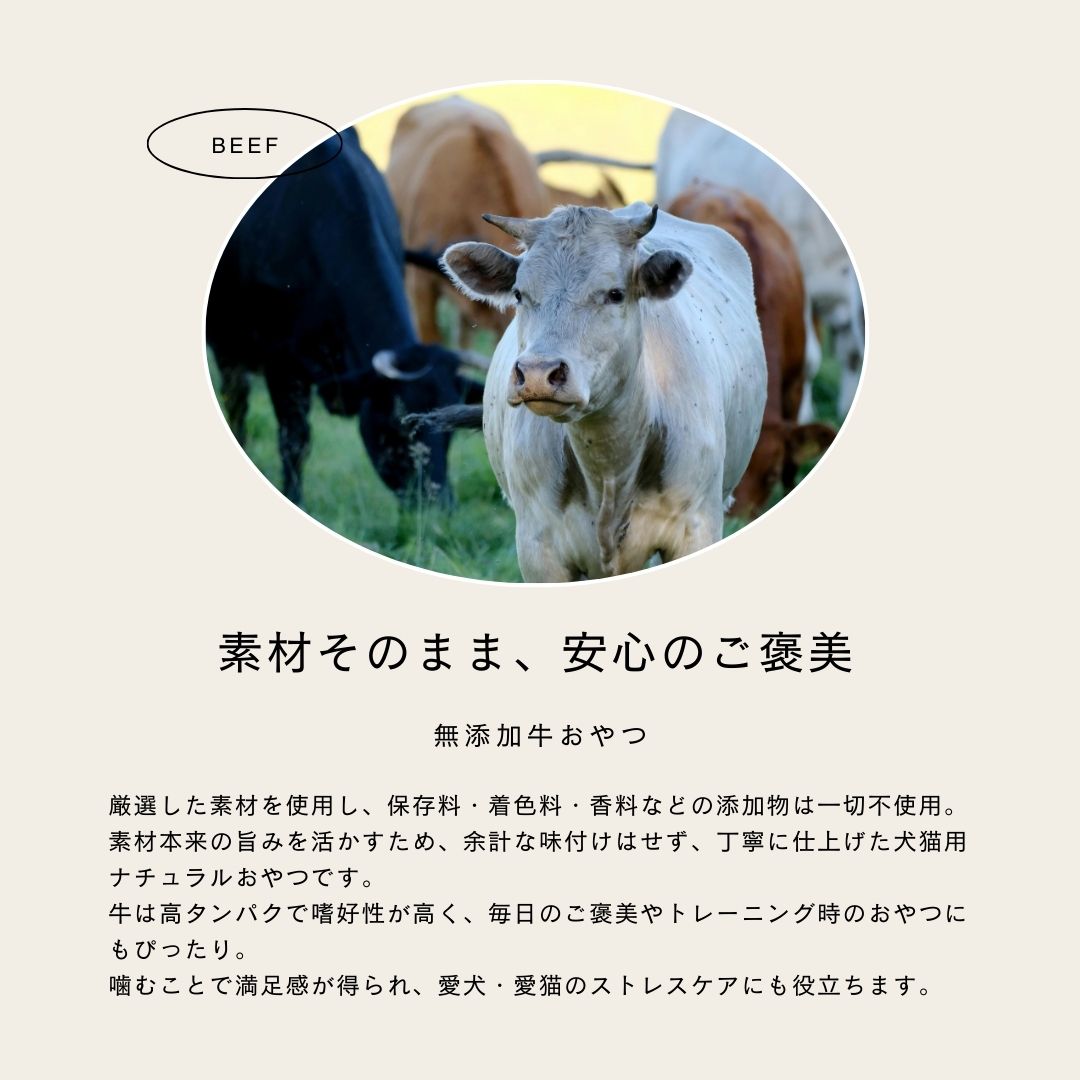 おやつ 無添加 国産（北海道産） 牛肺スライス 400g ロゴスペット 犬猫