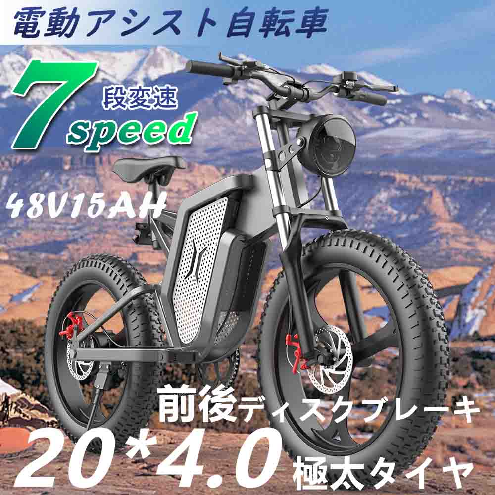 最新人気 ロハスショップフル電動自転車 電動アシスト自転車 20インチ