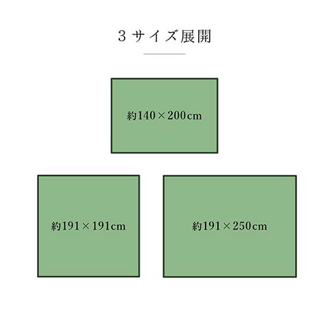 DXカラフルブロック い草 い草ラグ カーペット 国産 日本製 モダン 和室 リビング 滑り止め お手入れ簡単 夏_11