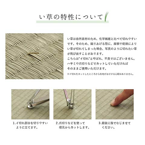 DXカラフルブロック い草 い草ラグ カーペット 国産 日本製 モダン 和室 リビング 滑り止め お手入れ簡単 夏_12