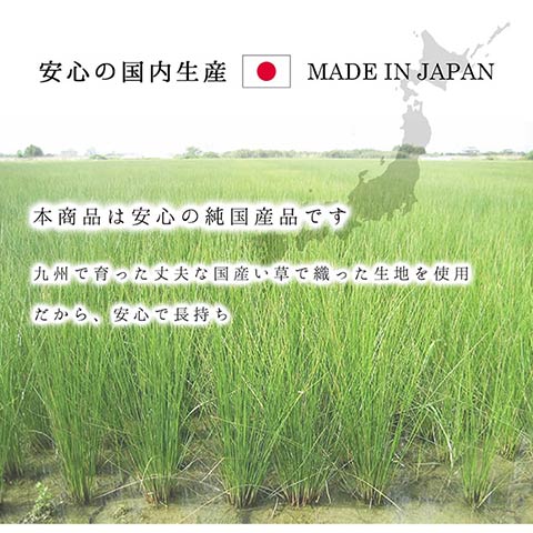 DXカラフルブロック い草 い草ラグ カーペット 国産 日本製 モダン 和室 リビング 滑り止め お手入れ簡単 夏_6