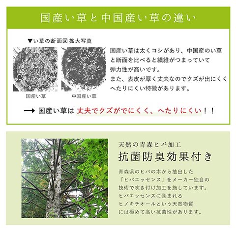 DXカラフルブロック い草 い草ラグ カーペット 国産 日本製 モダン 和室 リビング 滑り止め お手入れ簡単 夏_7