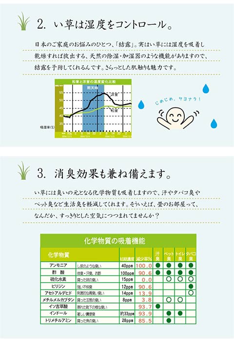DXオーディーン い草 い草ラグ カーペット 国産 日本製 オリエンタル柄 和室 リビング 滑り止め お手入れ簡単 夏