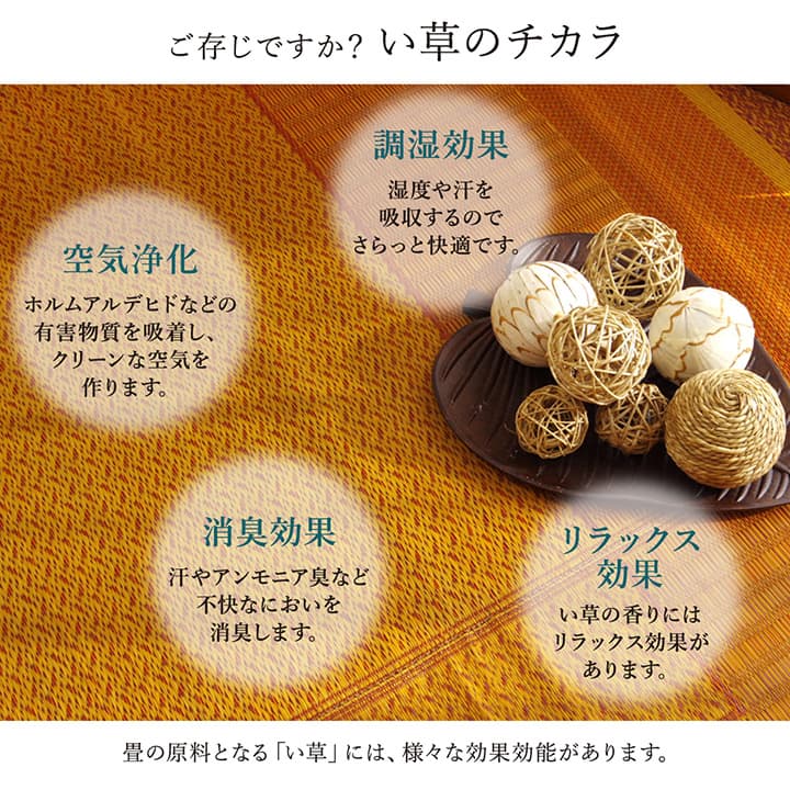 DXランクス い草 い草ラグ カーペット 国産 日本製 モダン シンプル
