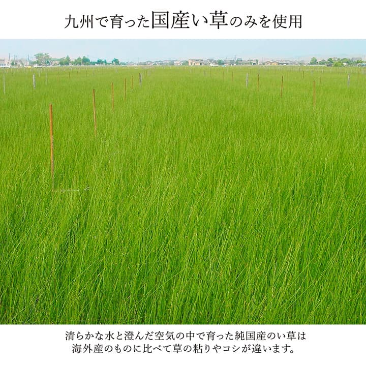 DXランクス い草 い草ラグ カーペット 国産 日本製 モダン シンプル
