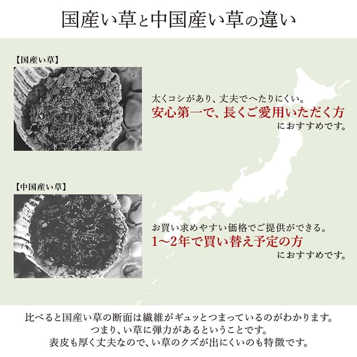 ランクス い草 ござ 花ござ 国産 日本製 上敷き 和室 敷物 カーペット ラグ モダン お手入れ簡単 夏 抗菌防臭 調湿 消臭 空気清浄 汚れにくい_6