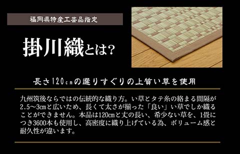 奥丹後 い草 ござ 国産 日本製 上敷き 和室 敷物 カーペット 江戸間 掛川織 お手入れ簡単 夏 抗菌防臭 調湿 消臭 空気清浄 汚れにくい_2