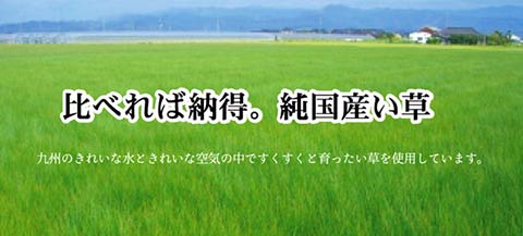 奥丹後 い草 ござ 国産 日本製 上敷き 和室 敷物 カーペット 江戸間 掛川織 お手入れ簡単 夏 抗菌防臭 調湿 消臭 空気清浄 汚れにくい_3