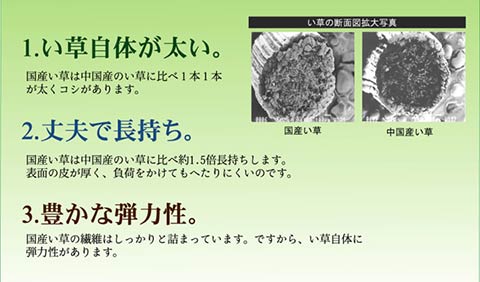 奥丹後 い草 ござ 国産 日本製 上敷き 和室 敷物 カーペット 江戸間 掛川織 お手入れ簡単 夏 抗菌防臭 調湿 消臭 空気清浄 汚れにくい_4