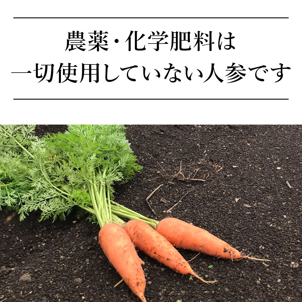 無添加 真空フライ にんじんチップス ザ・人参 20g 無農薬人参を皮ごと