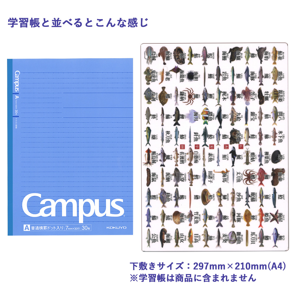 お魚漢字100下敷比較