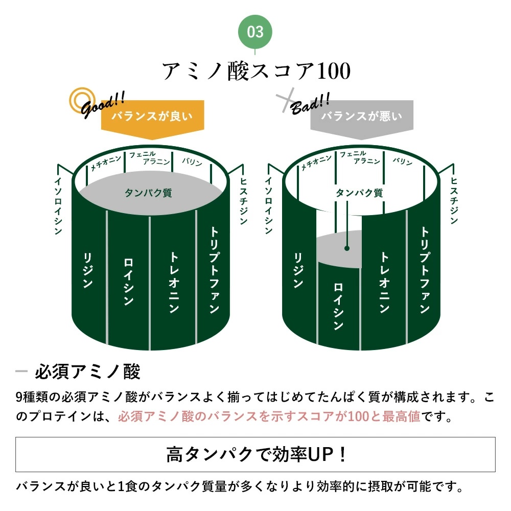 LOHAS（ロハス） ソイプロテイン チョコレート味 500g×3袋 ダイエット