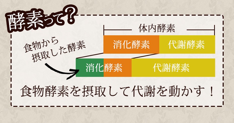 食物酵素を摂取して代謝を動かす！