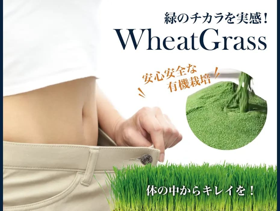 ガセリ菌 サプリ ウィートグラス ガセリ菌 最大90日分 腸活 乳酸菌 クロロフィル 小麦若葉 栄養補助食品 Gasseri オーガニック ローフード Lohas 通販 Yahoo ショッピング