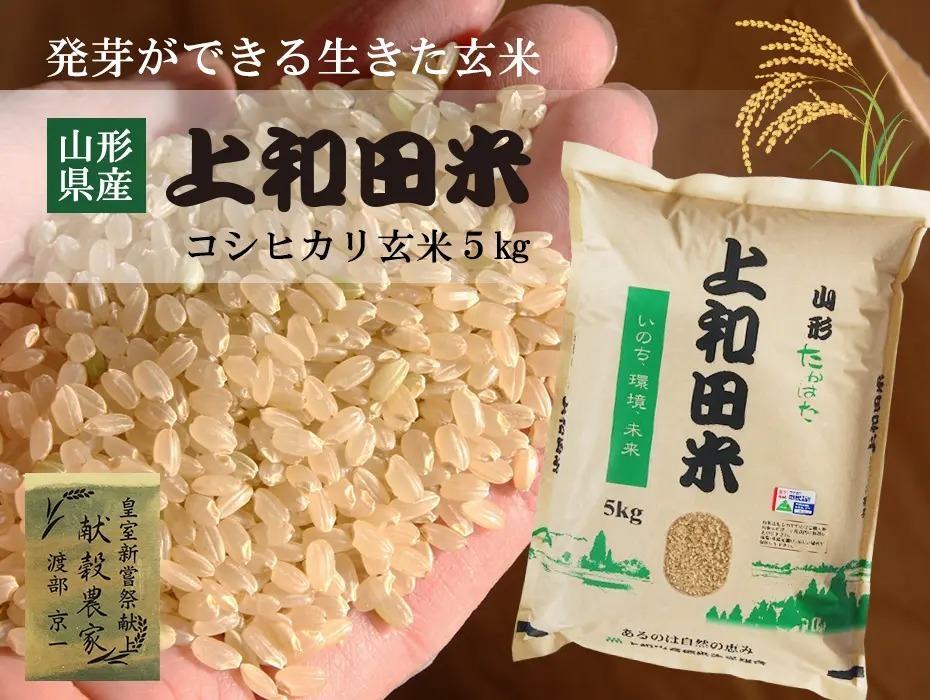渡部家の新米こしひかり 25㎏ 玄米 産地直送 有機栽培 渡部家の新米