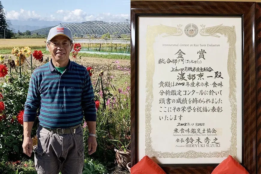 コシヒカリ 山形県産 コシヒカリ玄米 5kg 令和6年度産 特別栽培 コシヒカリ 山形県産 コシヒカリ玄米 5kg 令和6年度産 特別栽培