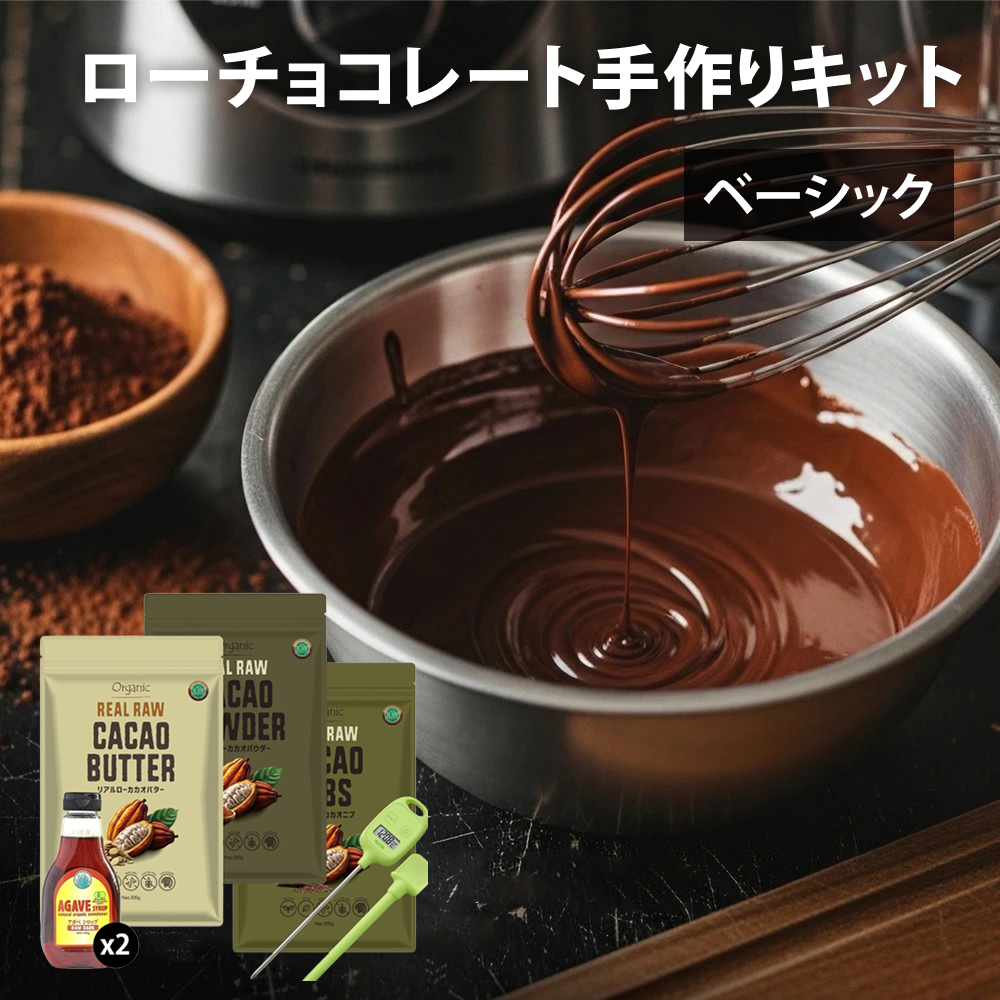 ローチョコレート手作りキット ベーシック レシピ付き 製菓材料 ローカカオ アガベシロップ お菓子作り 手作りスイーツ バレンタイン ロハス LOHAS