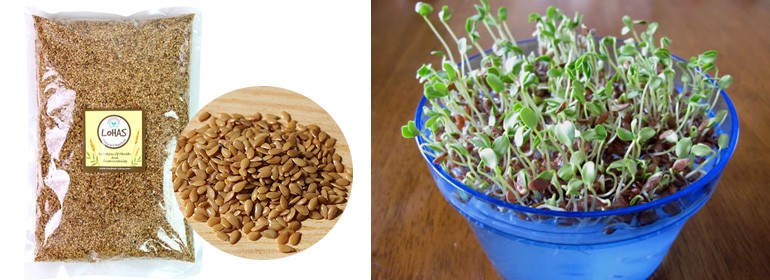 生ゴールデンフラックスシード 亜麻の実 500g Raw Flaxseed 500 オーガニック ローフード Lohas 通販 Yahoo ショッピング