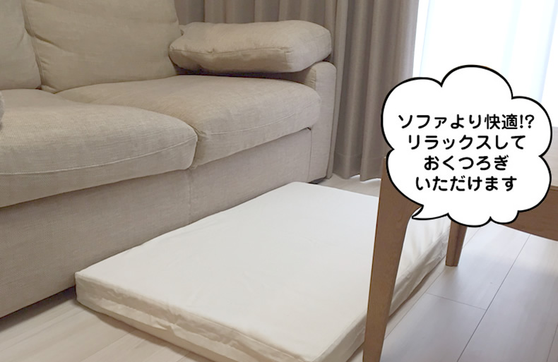 クッション 厚い 66.5×100×5cm LOHATEX ラテックス くつろぎ 座布団 厚