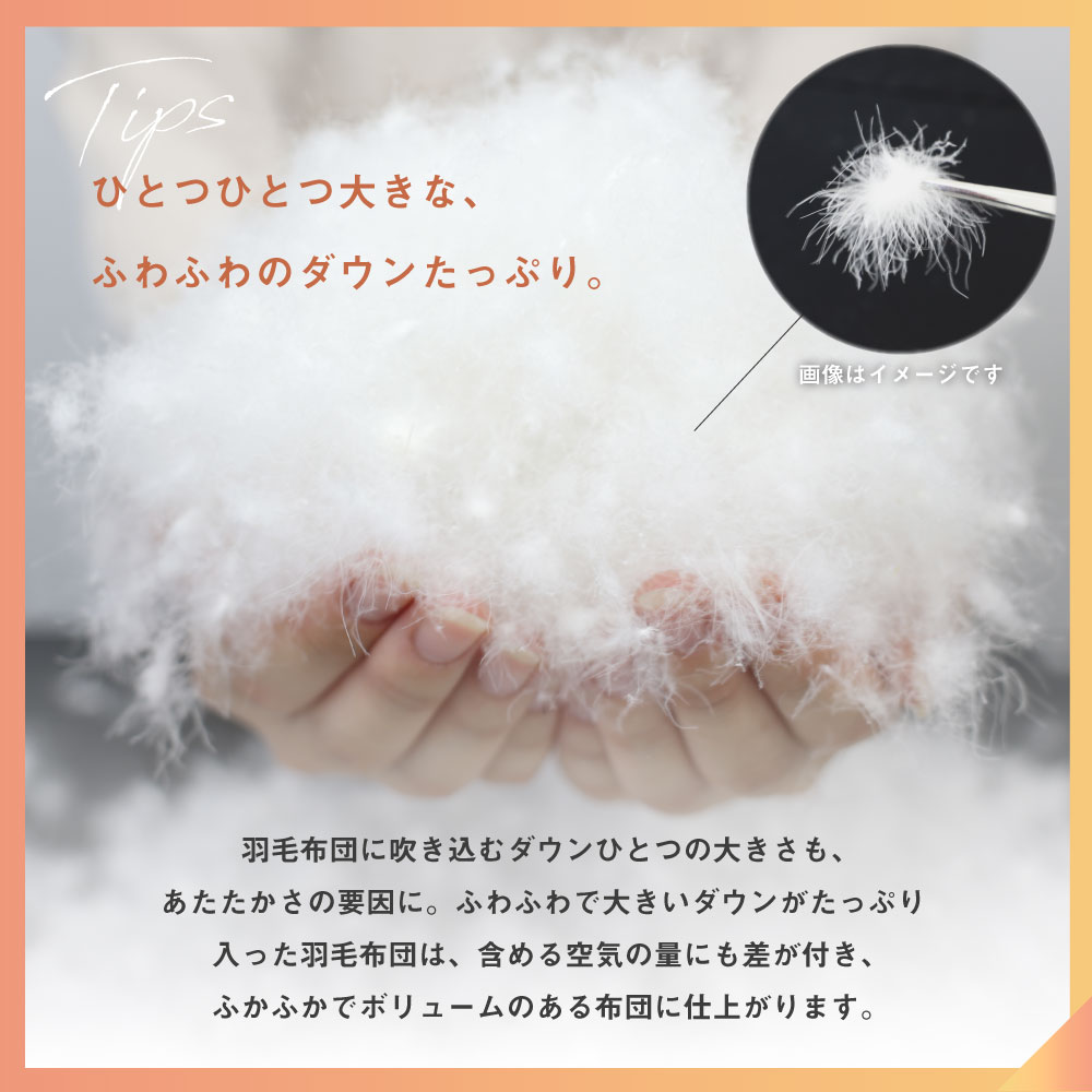 2WAY羽毛掛け布団