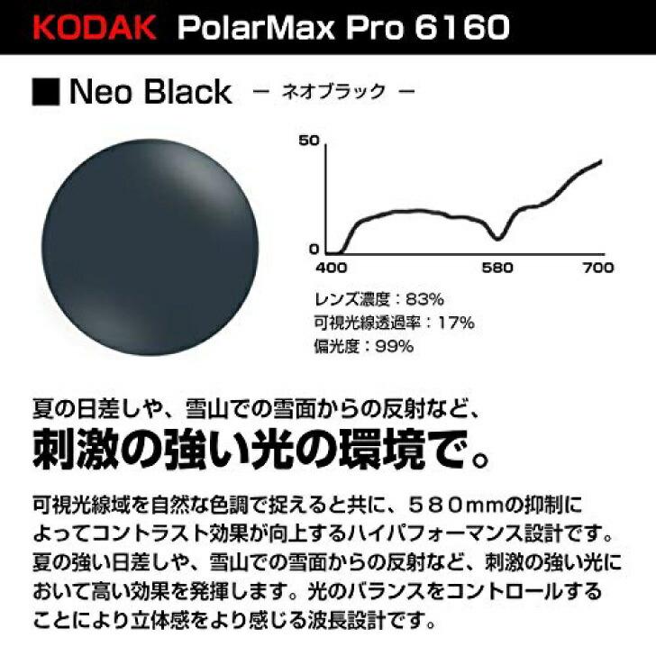 Kodak LENS × SAMURAI SHO サングラス サムライ翔 哀川翔 翔サングラス