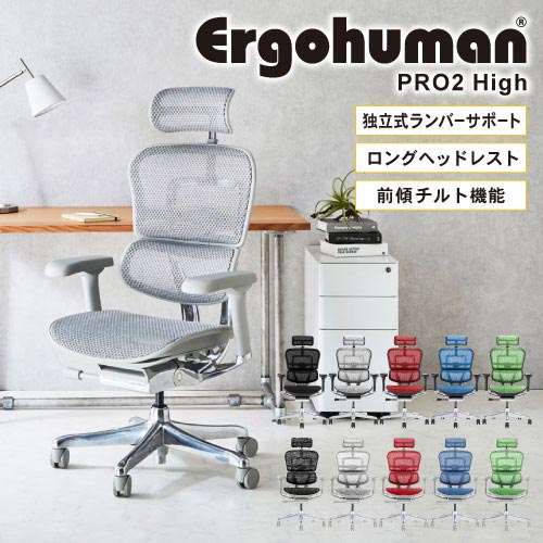 エルゴヒューマンプロ2 Ergohuman Pro2 ハイタイプ オフィスチェア ヘッドレスト 高機能チェア メッシュチェア パソコンチェア  PCチェア 椅子 肘付き EHP2-HAM : 2y-eehp-ham : LOOKIT オフィス家具 インテリア - 通販 -  Yahoo!ショッピング