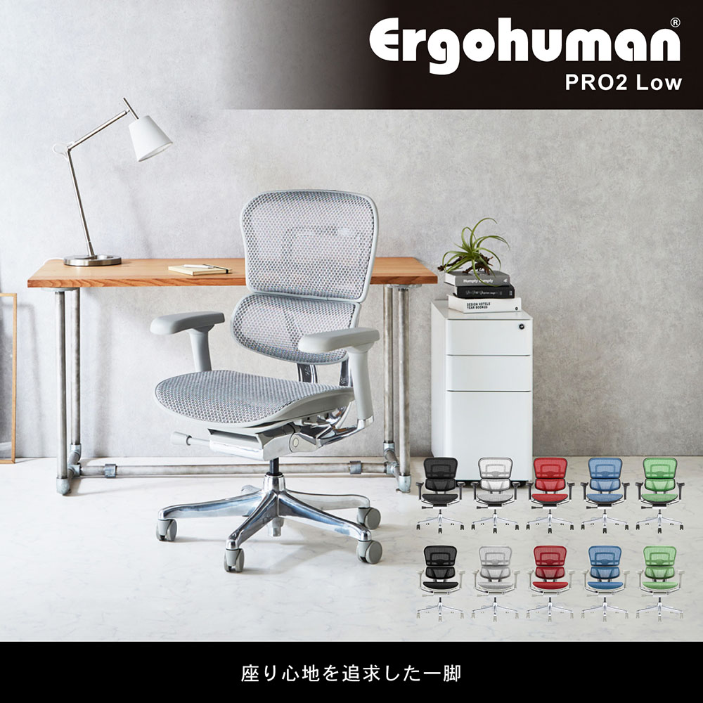 エルゴヒューマンプロ2 Ergohuman Pro2 ロータイプ オフィスチェア 高機能チェア メッシュチェア PCチェア ゲーミング 椅子 肘掛け  肘付 おしゃれ 黒 EHP2-LAM : eeh-ham : LOOKIT オフィス家具 インテリア - 通販 - Yahoo!ショッピング