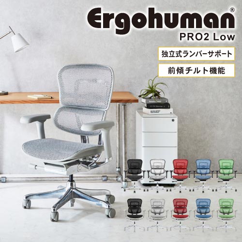 エルゴヒューマンプロ2 Ergohuman Pro2 ロータイプ オフィスチェア 高機能チェア メッシュチェア PCチェア ゲーミング 椅子 肘掛け  肘付 おしゃれ 黒 EHP2-LAM : eeh-ham : LOOKIT オフィス家具 インテリア - 通販 - Yahoo!ショッピング