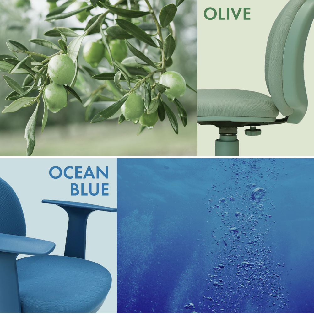 ワンカラーチェア カラー（オリーブ・オーシャンブルー）