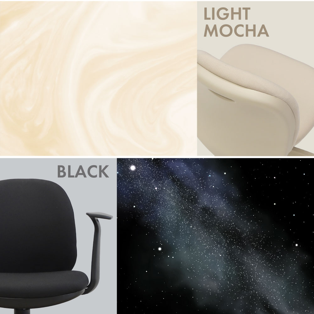ワンカラーチェア カラー（ライトモカ・ブラック）