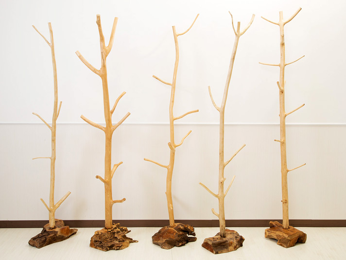 ナチュラル感が魅力！自然の形をそのまま活かしたチークポールハンガー