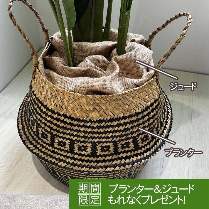 フェイクグリーン 大型 オーガスタ 観葉植物 インテリアグリーン アーティフィシャルグリーン 人工観葉植物 屋外