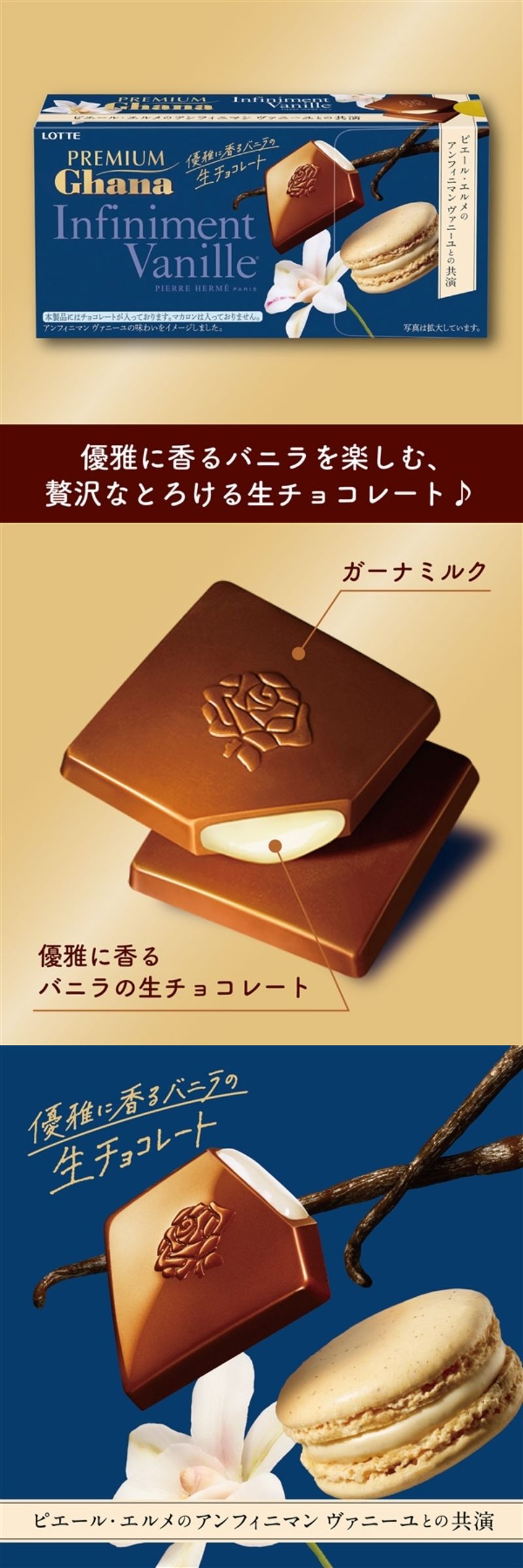 ロッテ（LOTTE） チョコレート まとめ買い 季節限定 公式 プレミアム
