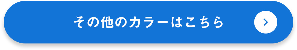 スカーゲン カロリーナ SKW2981 ブルーMOP/ブルー レディース 腕時計