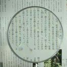 エボ柄ルーペ 1250-P 2倍&4倍 100mm プラスチックレンズ [手持ちルーペ 虫眼鏡 虫めがね 天眼鏡] 池田レンズ ルーペ 拡大鏡 観察