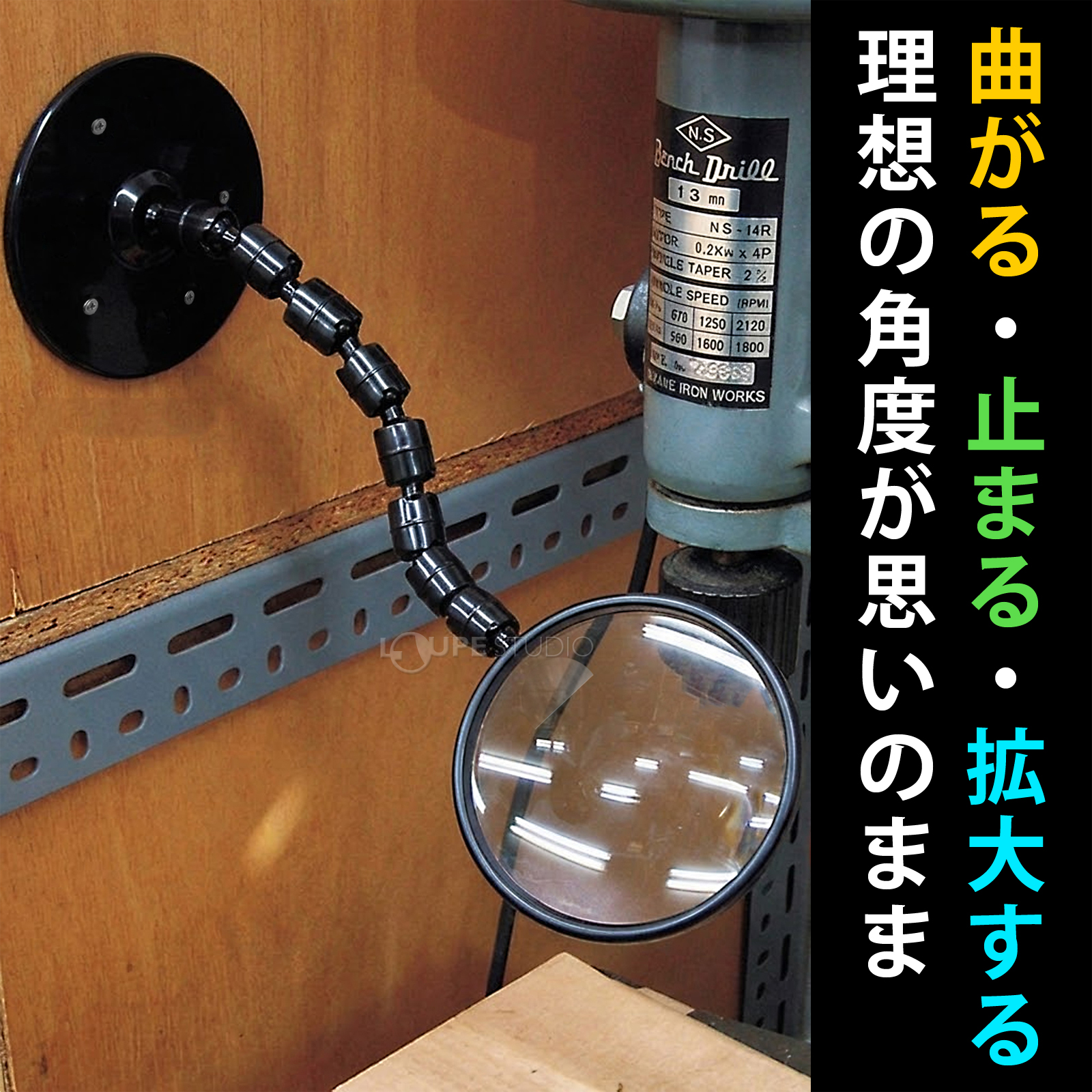 せぼね君ルーペ 