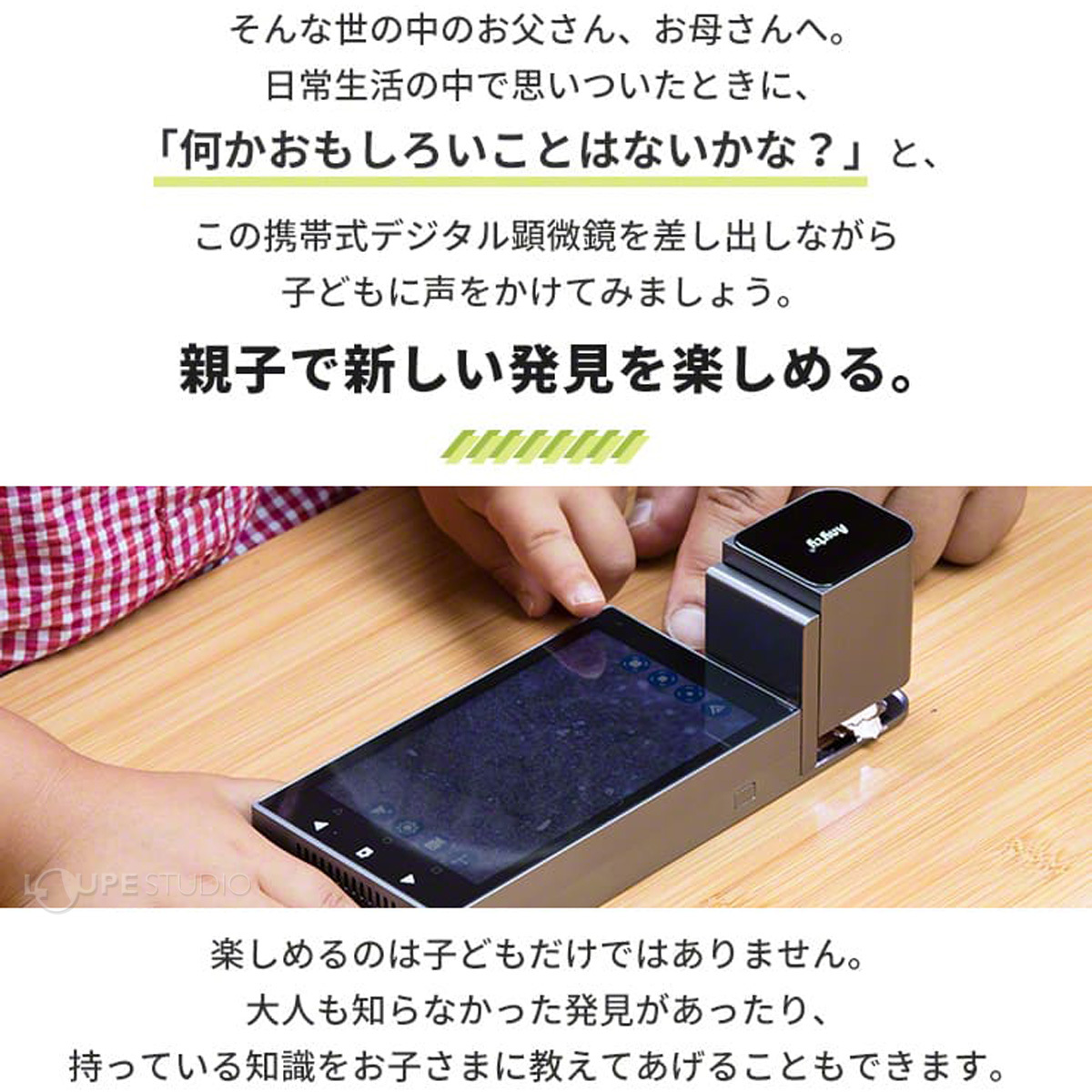 新子で新しい発見を楽しめる 