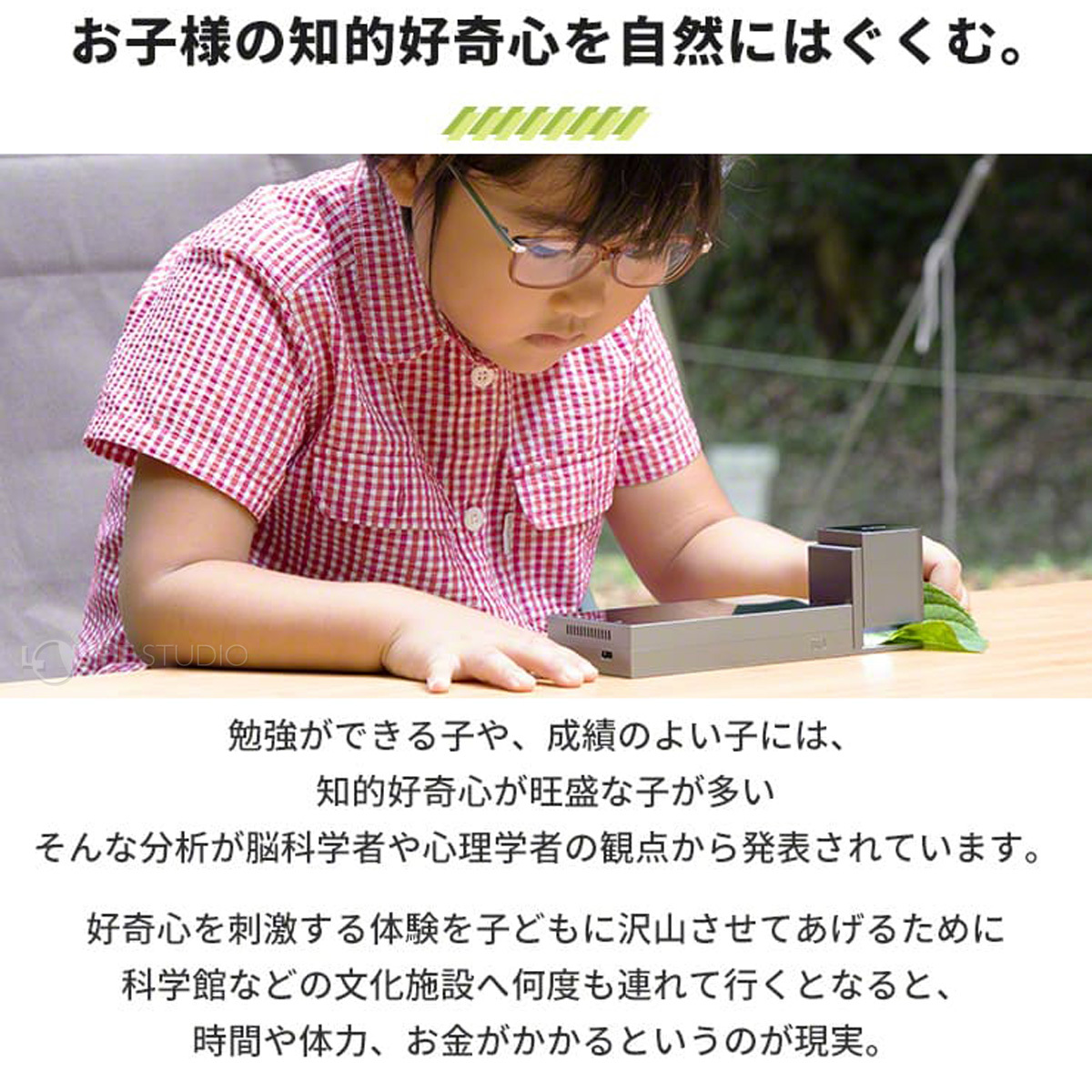 お子様の知的好奇心を自然にはぐくむ 