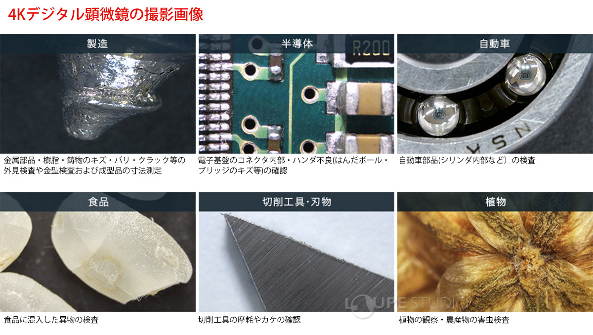 4Kデジタル顕微鏡の撮影画像