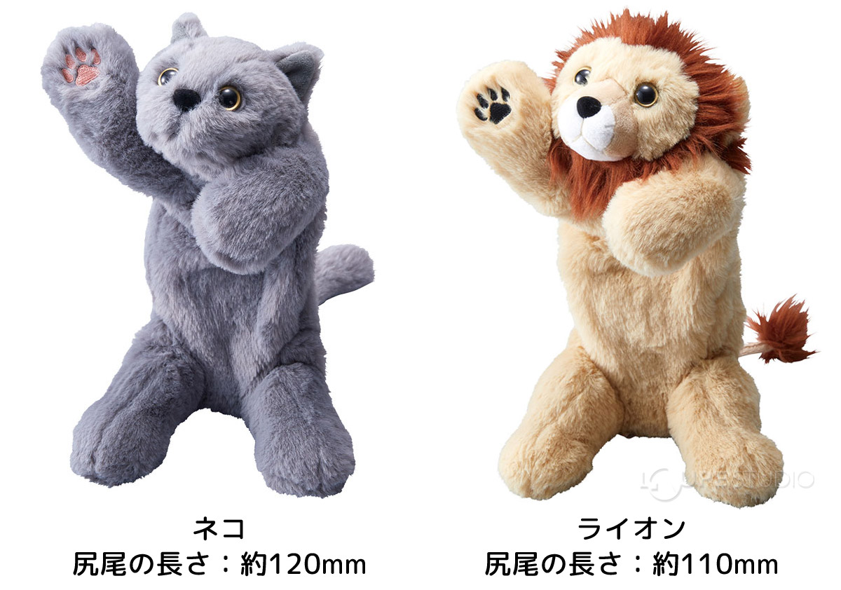 ネコ&ライオン 